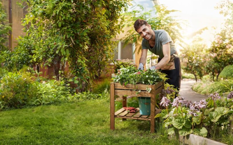 Flores fáciles y resistentes ideales para exterior